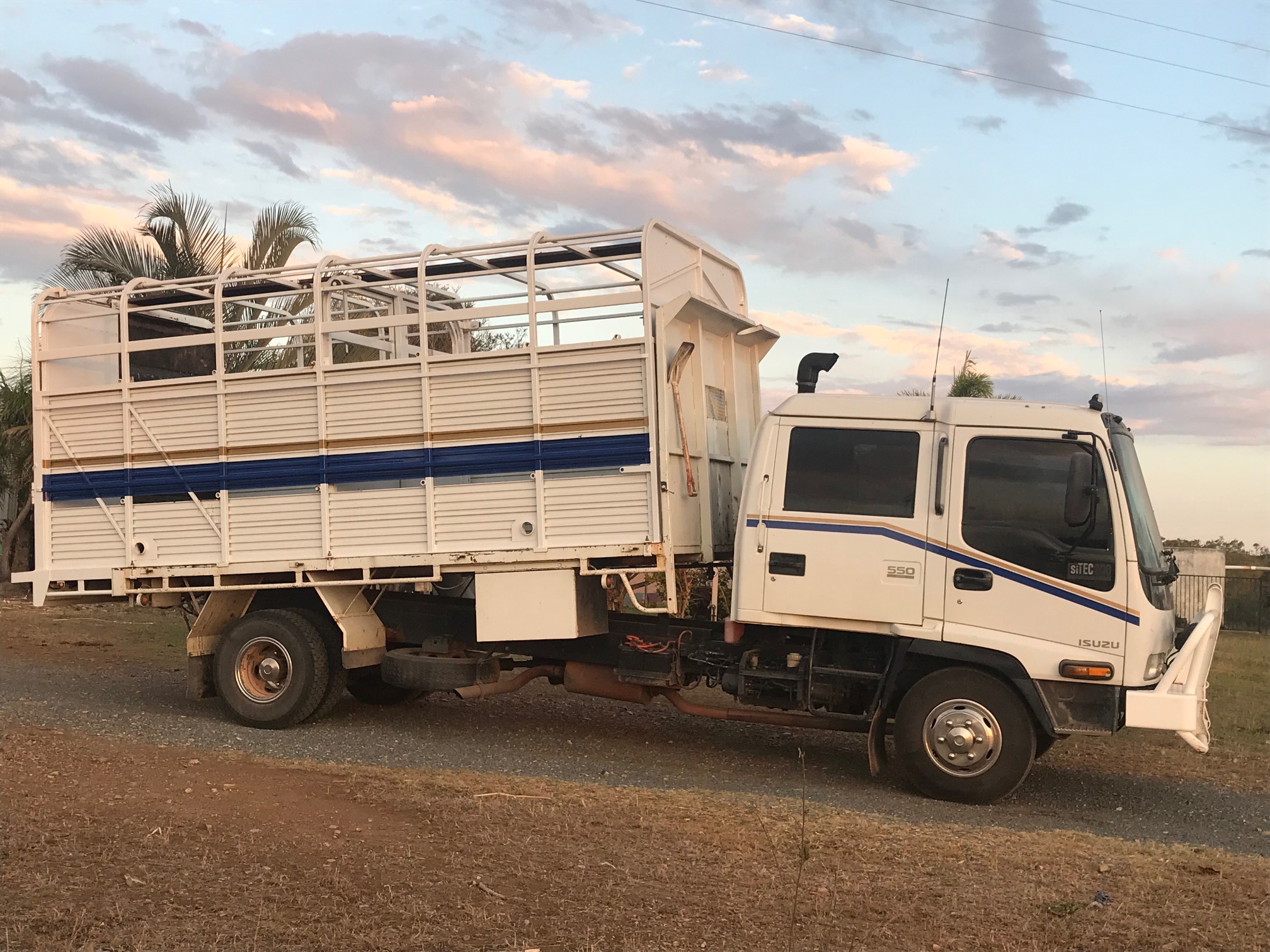 Isuzu FRR 550 dual cab tipper cattle horse truck Trucks