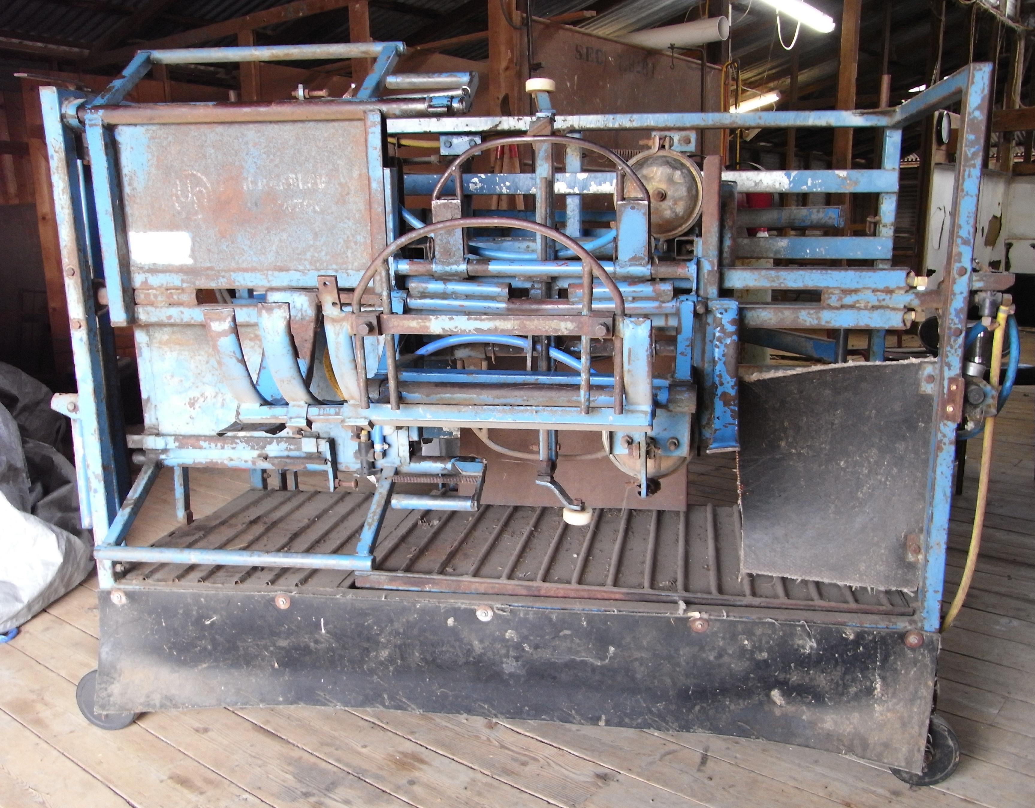 Peak Hill Sheep Handler Livestock Equipment Sheep Handlers For