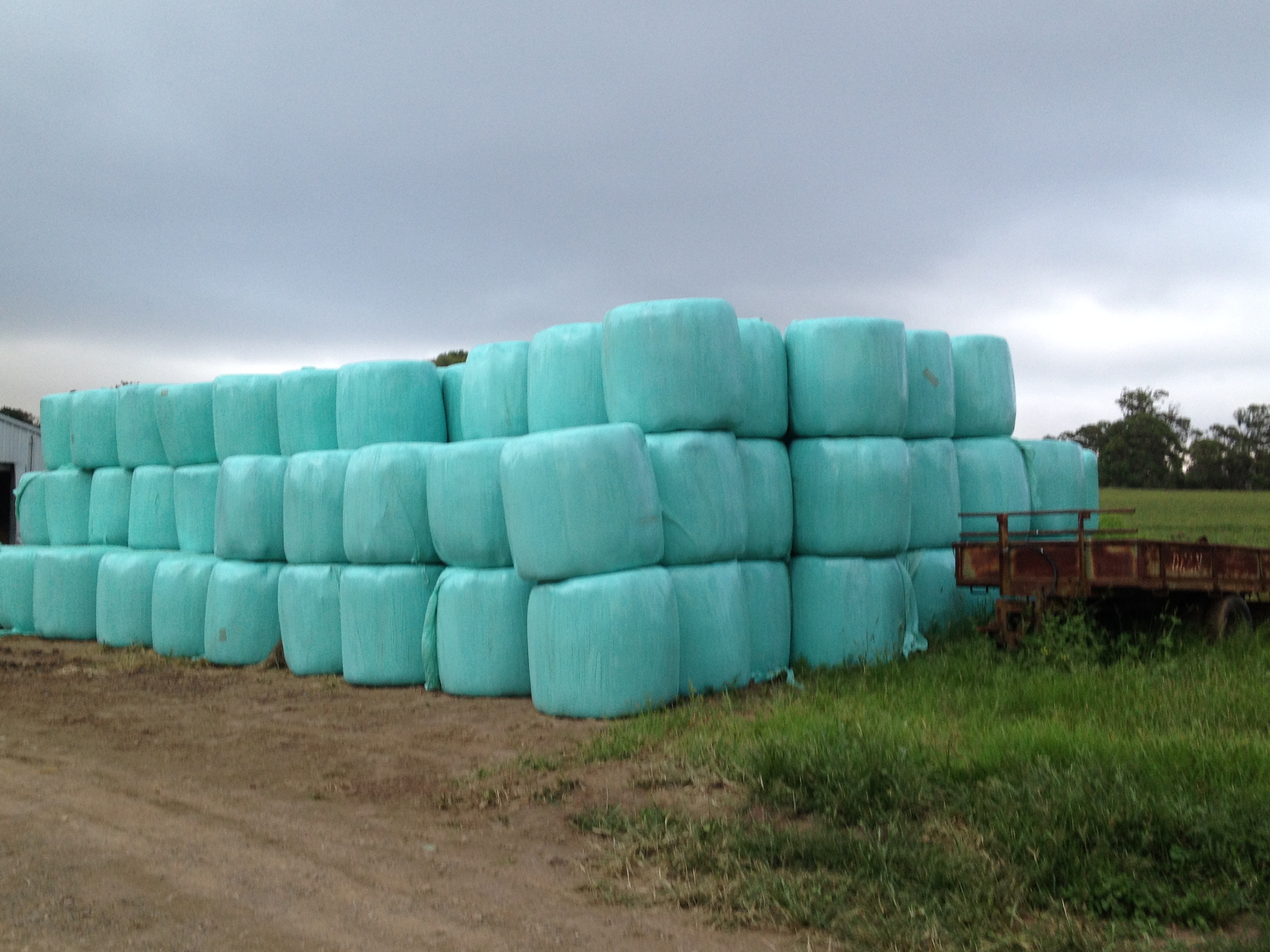 silage bales Hay & Fodder Silage For Sale