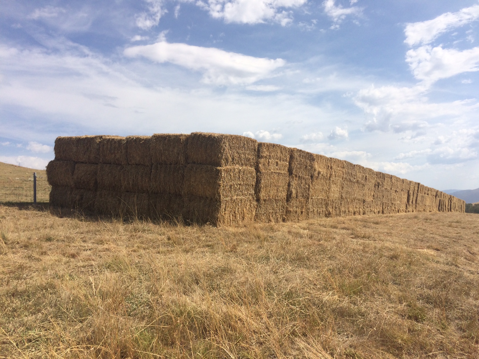 Triticale Straw 6x4x3 Hay & Fodder Straw For Sale