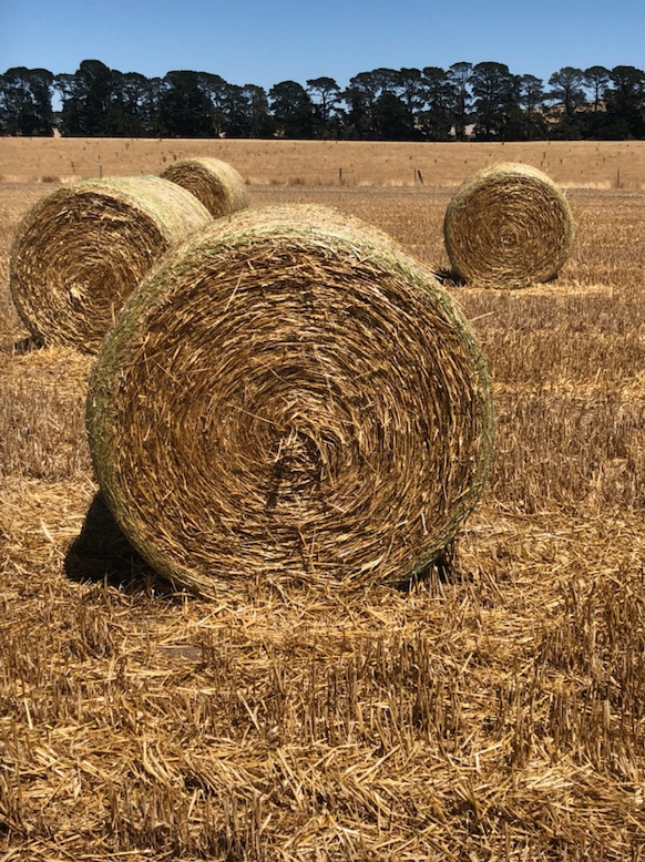 Oaten & Barley Straw 5x4 Bales Hay & Fodder Straw For