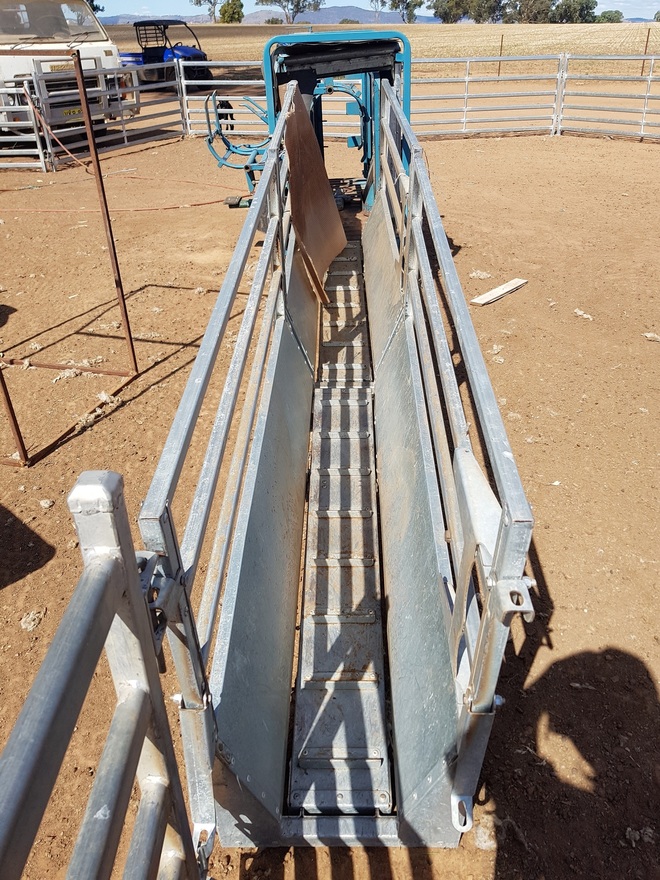 Peak Hill Sheep Handler Crutching Livestock Equipment