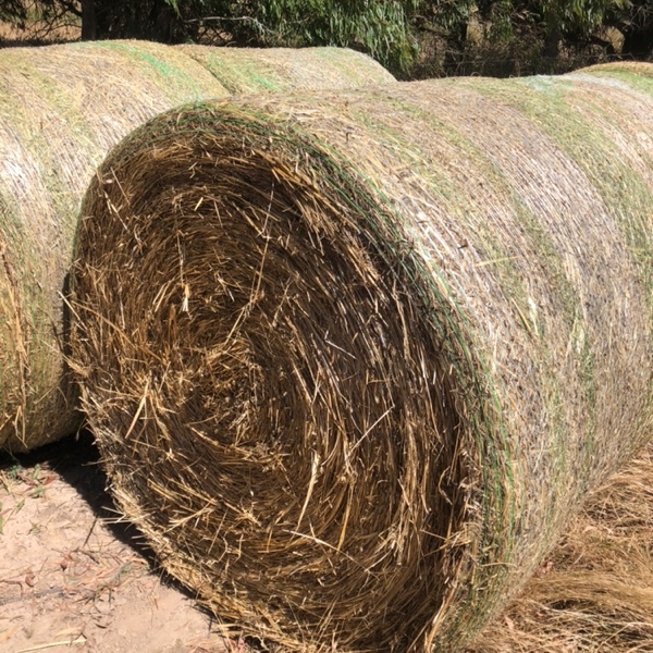 oaten/pasture hay Hay & Fodder Oaten Hay For Sale