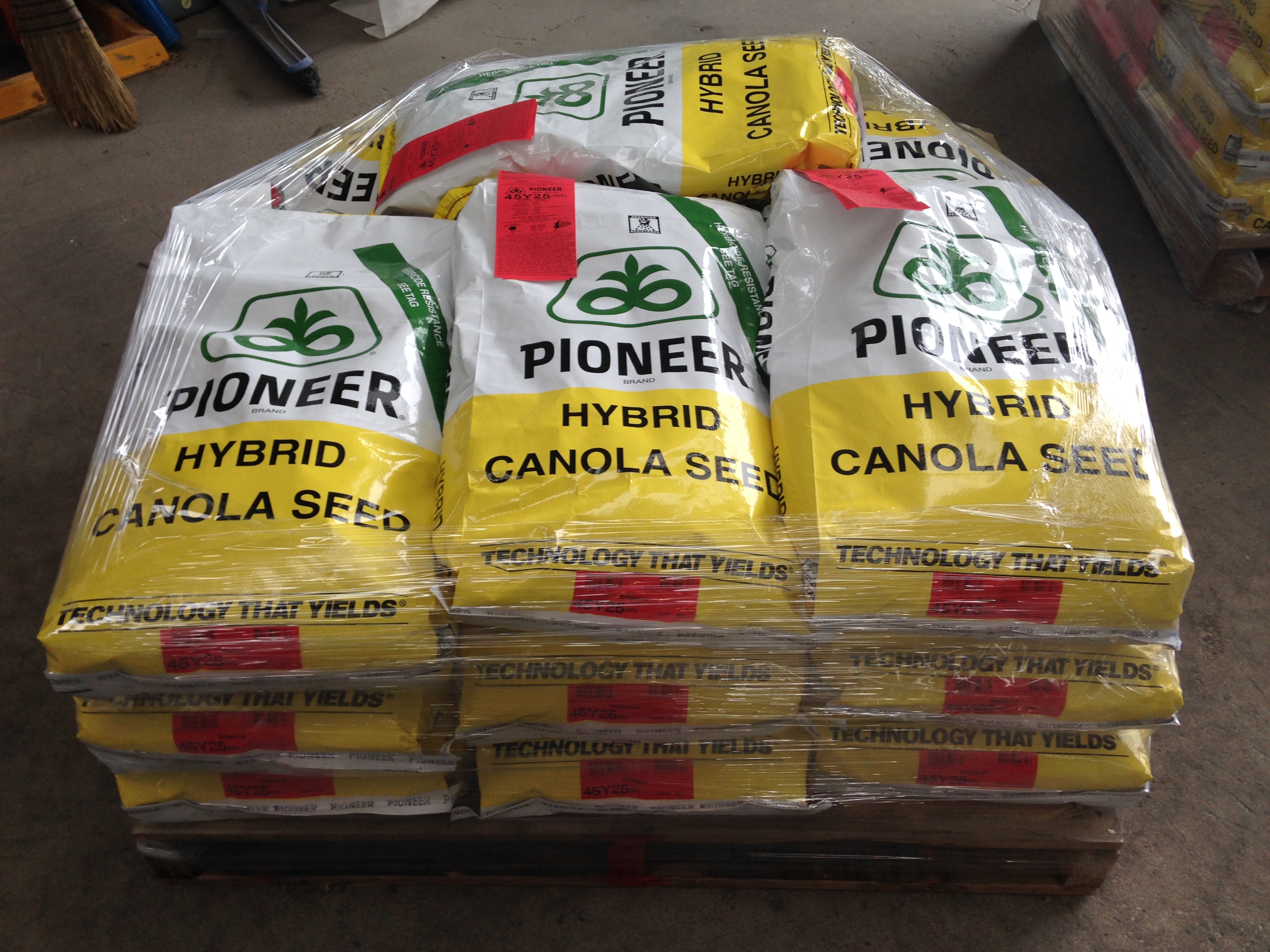 Pioneer 45Y25 Canola Seed Grain & Seed Canola For Sale