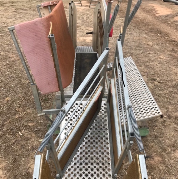 Combi Clamp Livestock Equipment Sheep Handlers For Sale