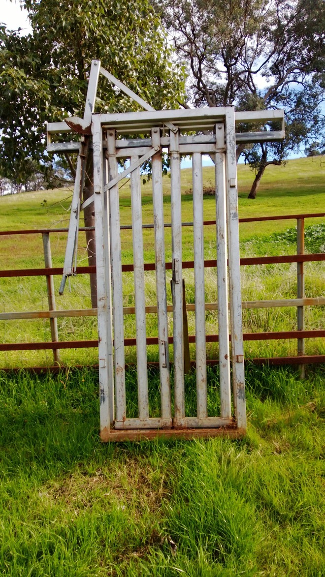 For Sale One Cattle Head Bail 440 gst incl. Livestock Equipment