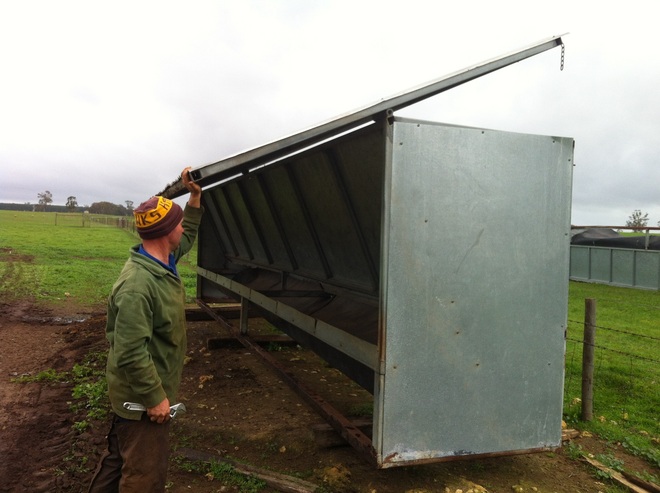 Cattle Self Feeders Livestock Equipment Livestock Feeding