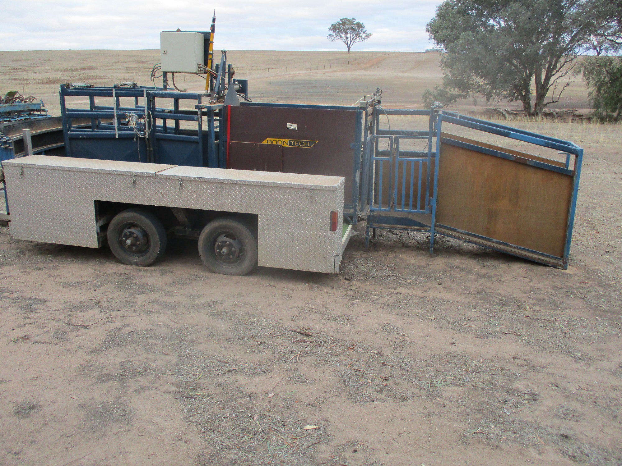 Boontech 3 way auto draft sheep handler with Trailer Livestock