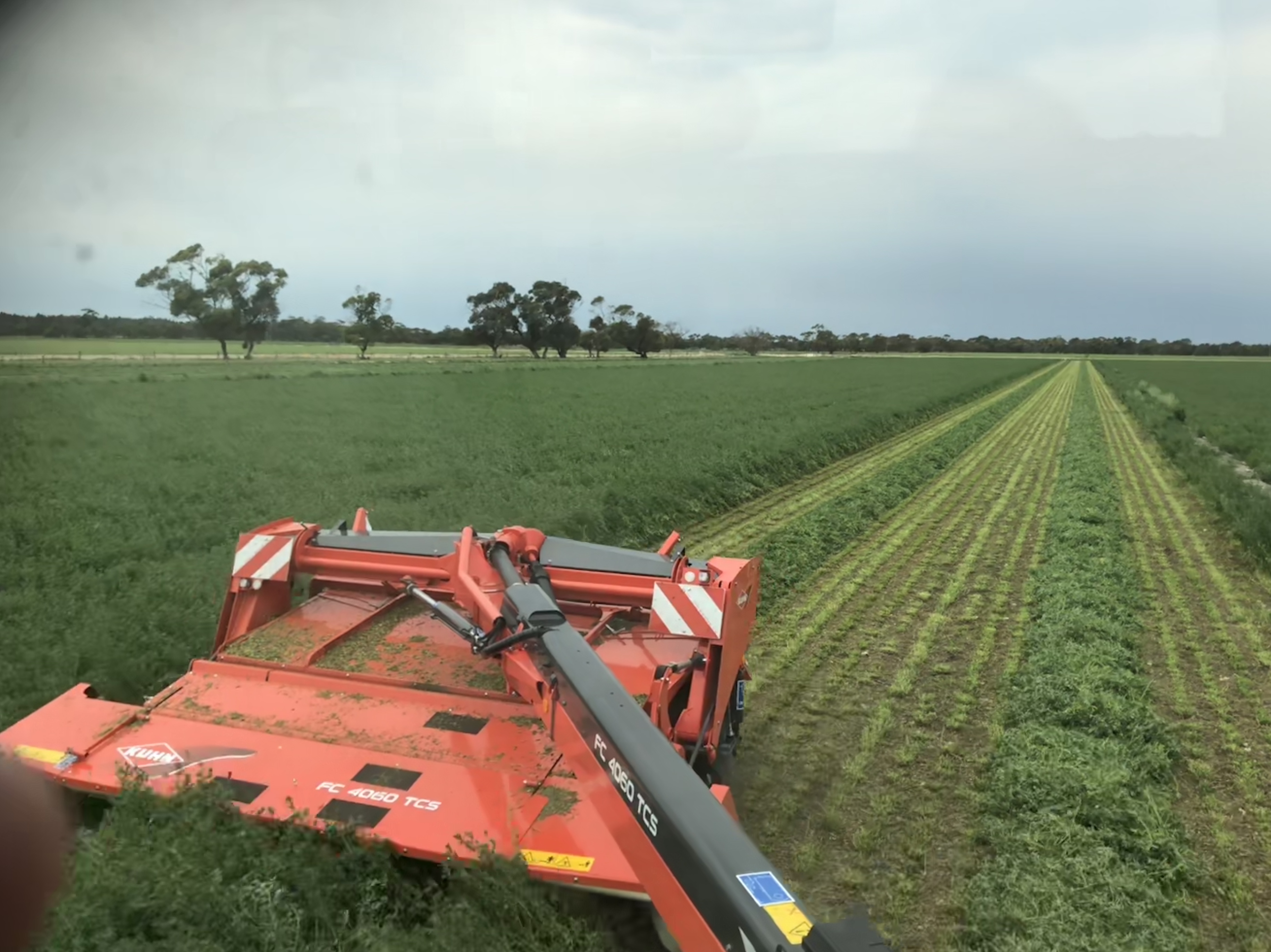 Lucerne hay for sale Hay & Fodder Lucerne Hay For Sale