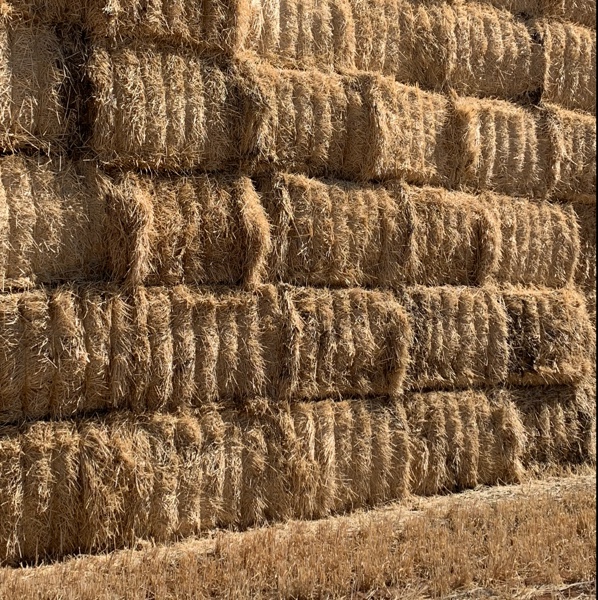 Barley Straw Hay & Fodder Straw For Sale