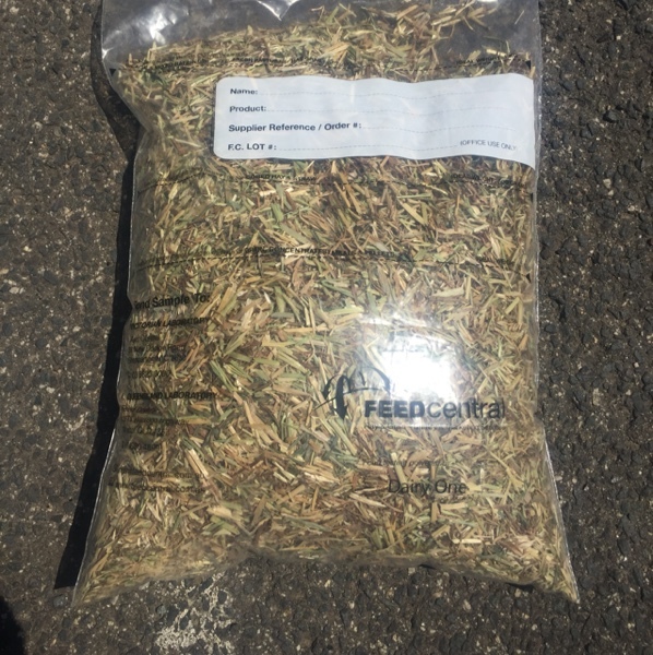 Small Square LOW SUGAR Horse Hay. | Hay & Fodder - Rye Grass