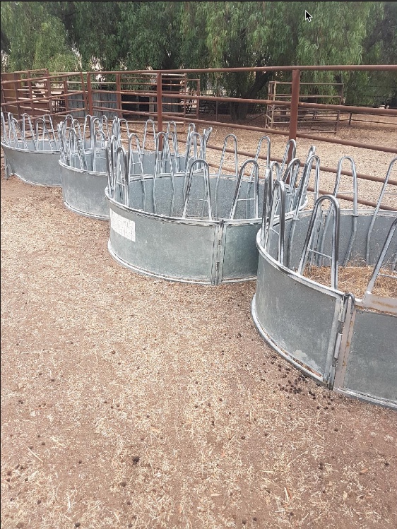 Hay Rings x 4 ""Price is for Each"" Livestock