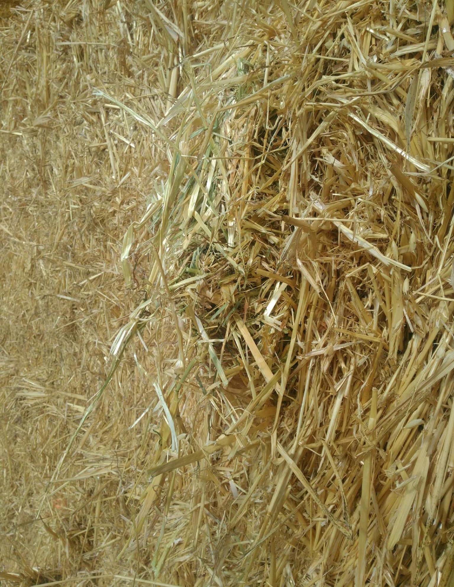 Oaten Hay, 8x4x3 Bales. Hay & Fodder Oaten Hay For Sale