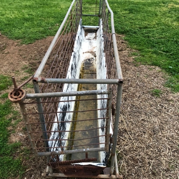 Portable sheep foot bath for sale Livestock Equipment Livestock