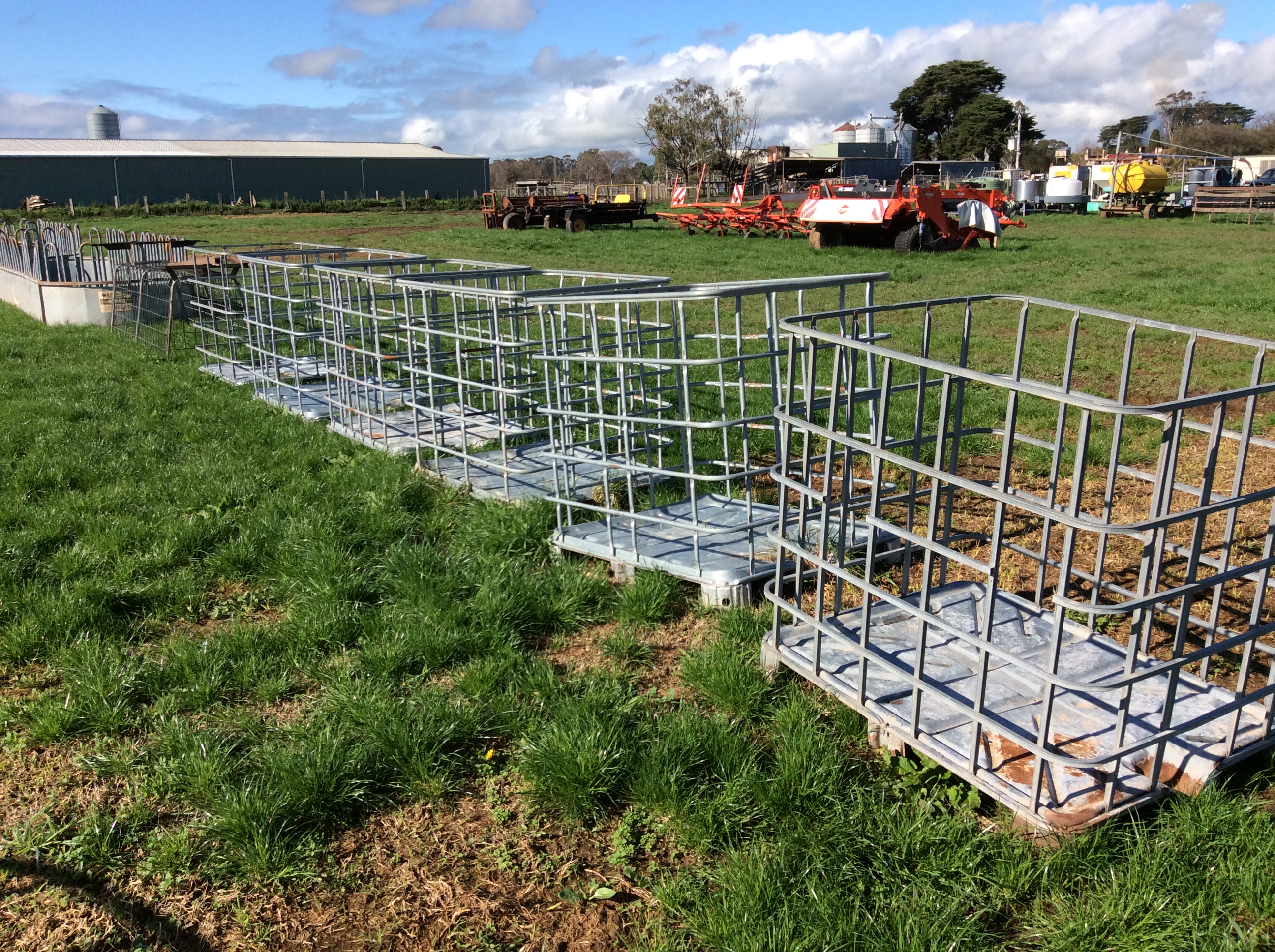 Sheepgate Auction - cruni5m