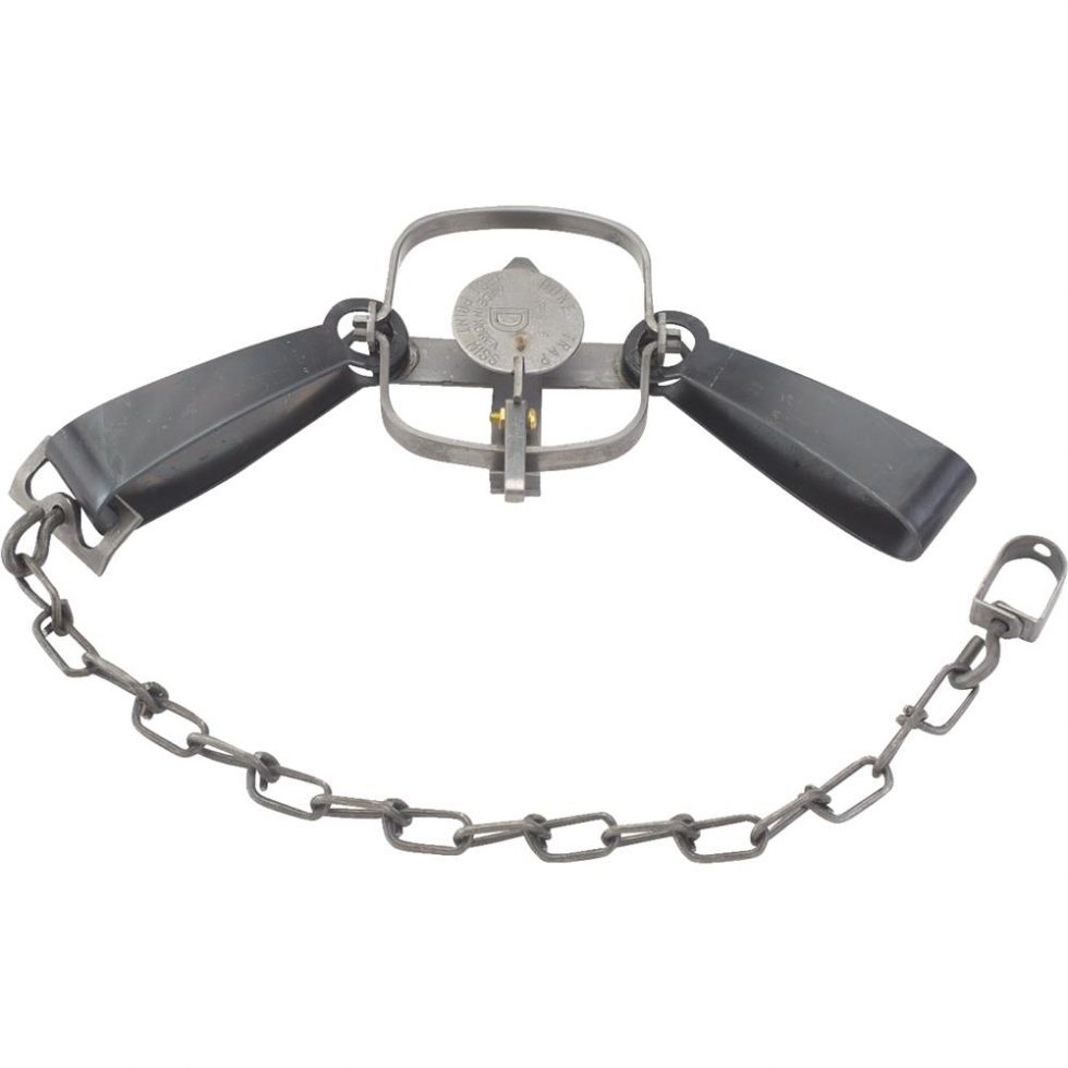 Duke Company 0320 Duke Traps Long Spring Animal Trap Family Hardware