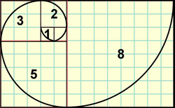 fibonacci spiral. Image by ScienceABC