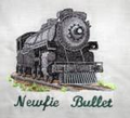 Newfiebullet