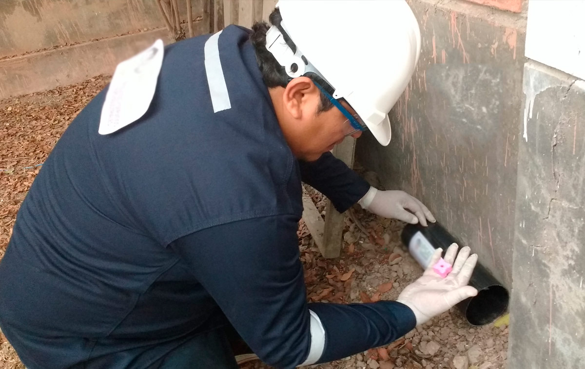 Servicio de Desratización – Farbis