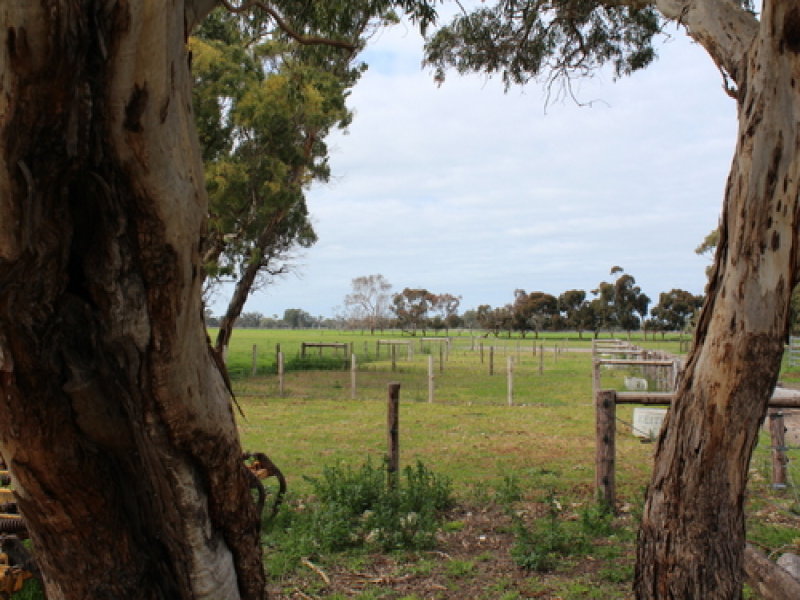 Business For Sale: Keith, SA 5267