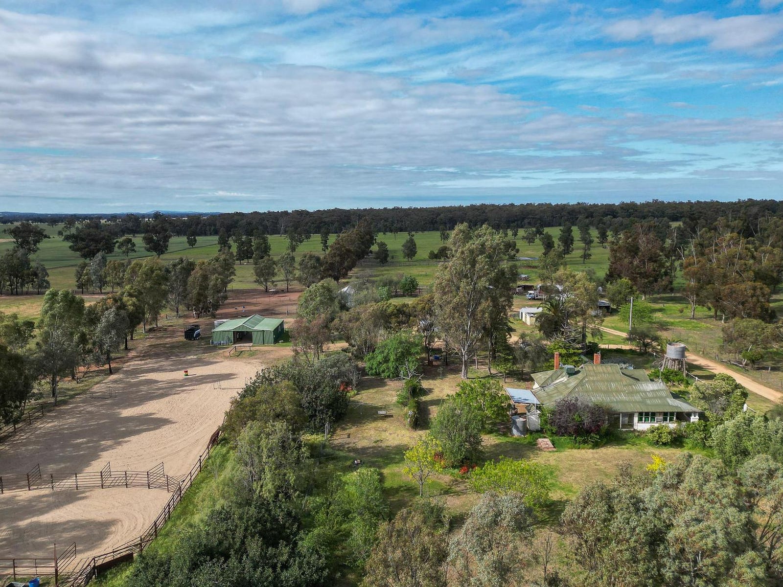 Business For Sale: The Rock, NSW 2655