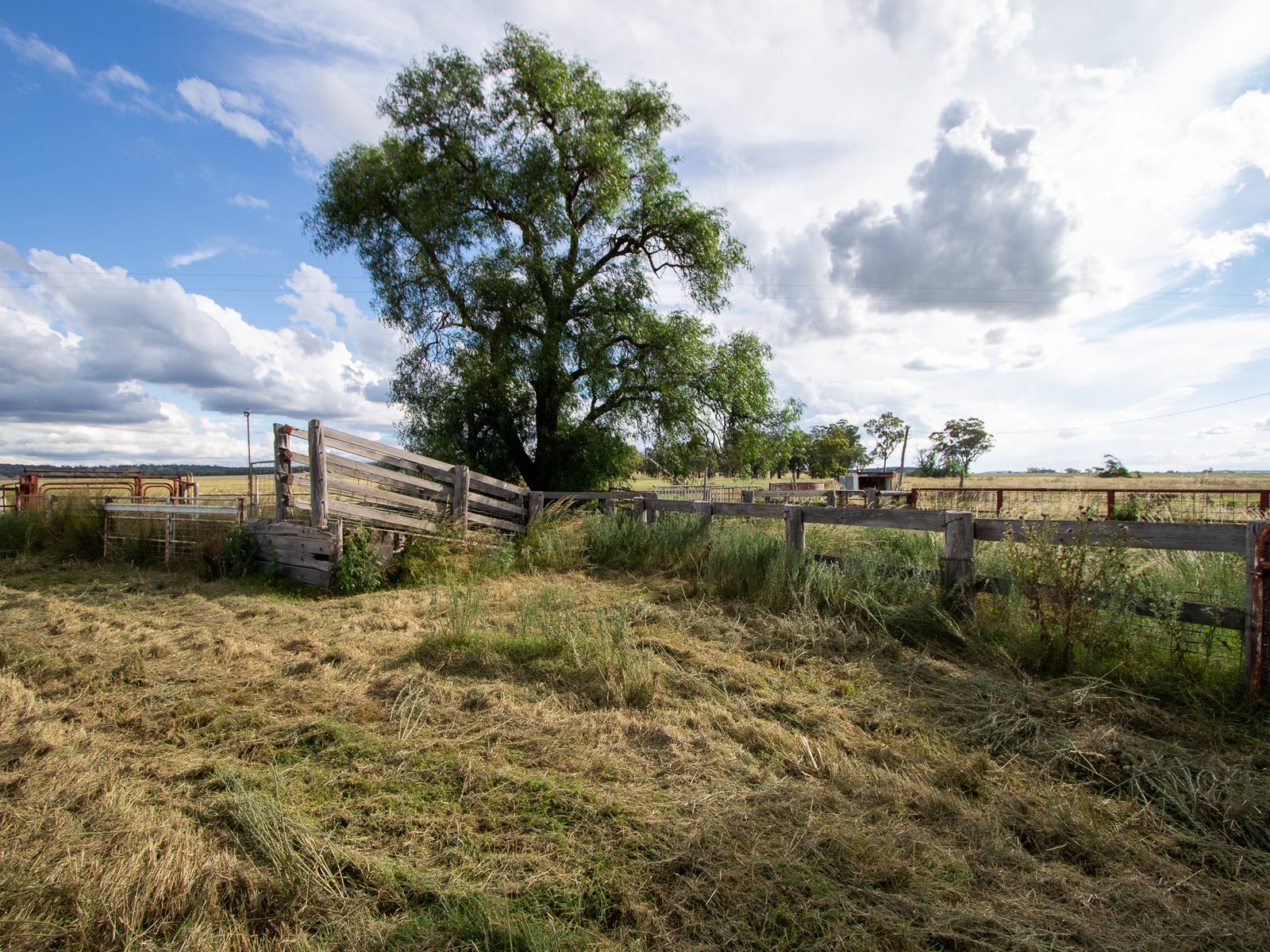 Business For Sale: Binnaway, NSW 2395