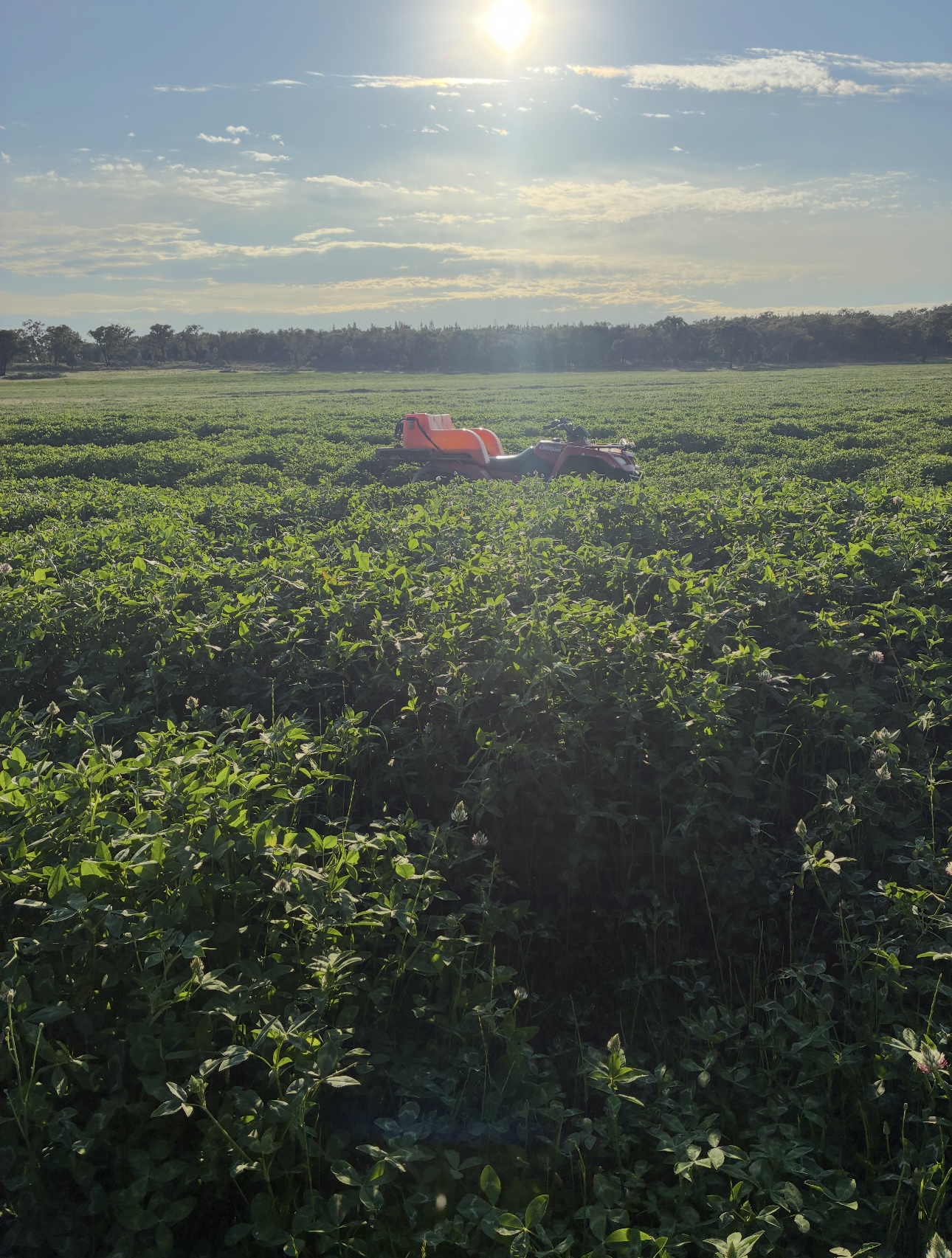 Business For Sale: Neilrex, NSW 2831