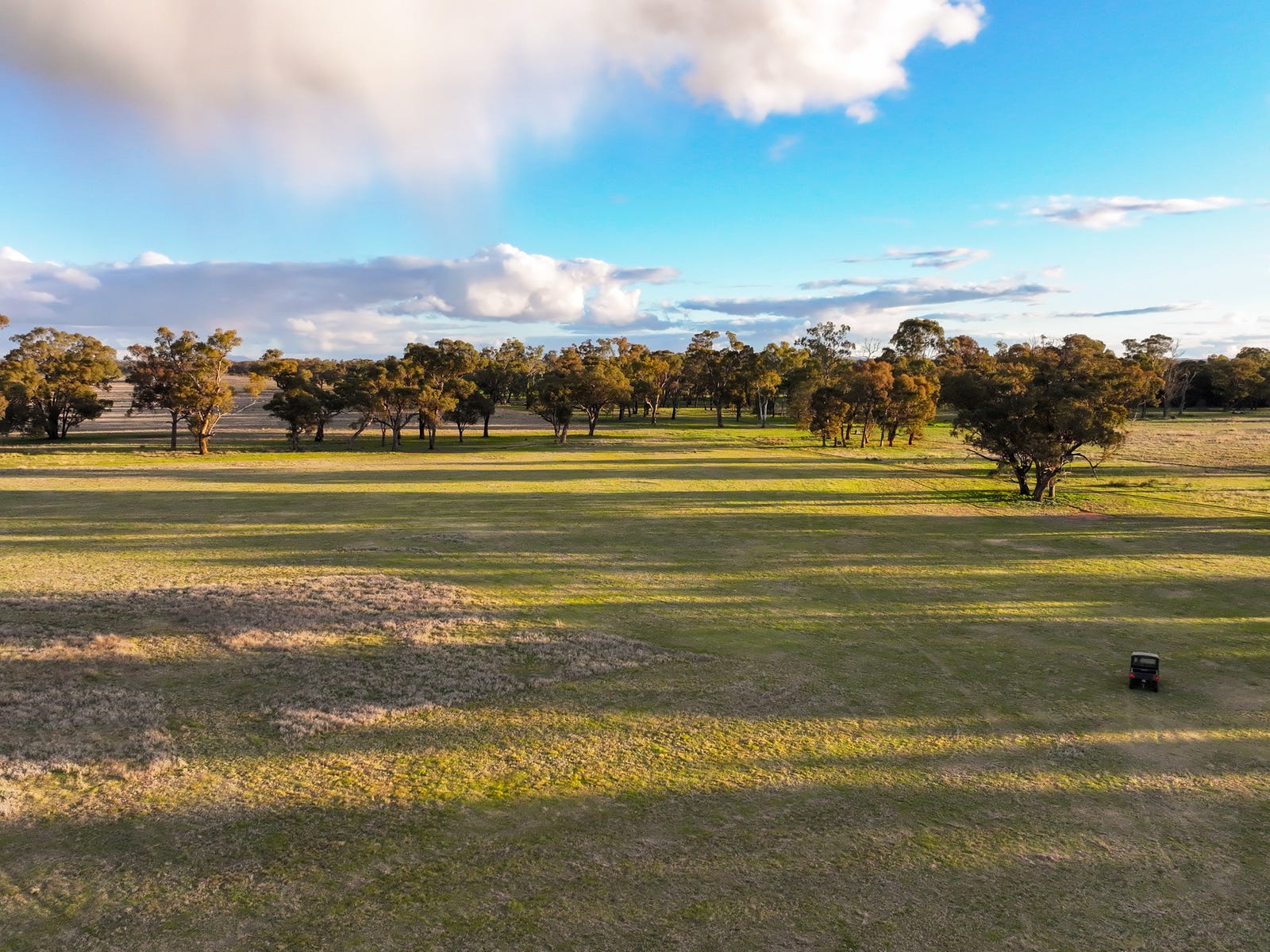 Business For Sale: Young, NSW 2594