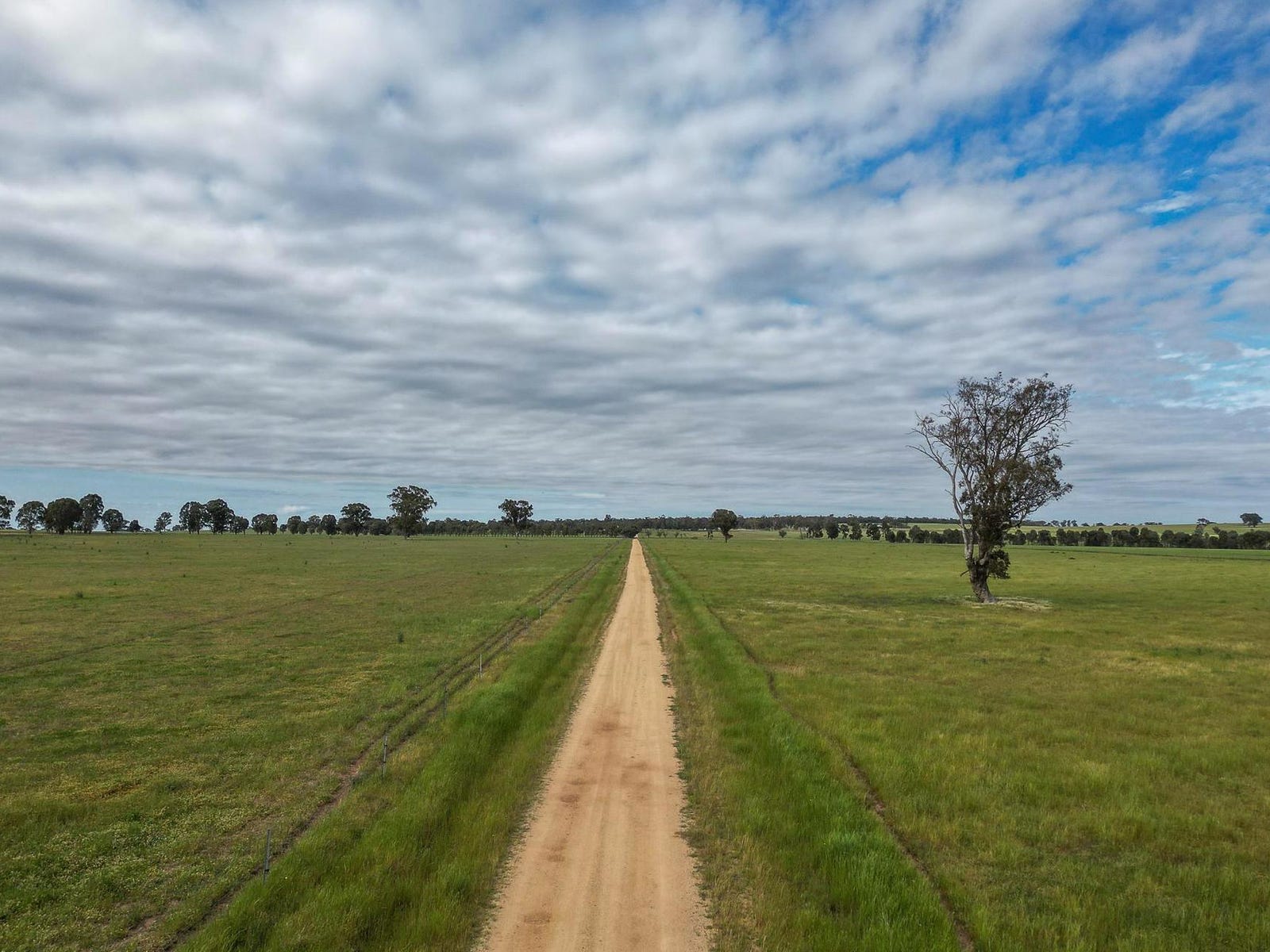 Business For Sale: The Rock, NSW 2655