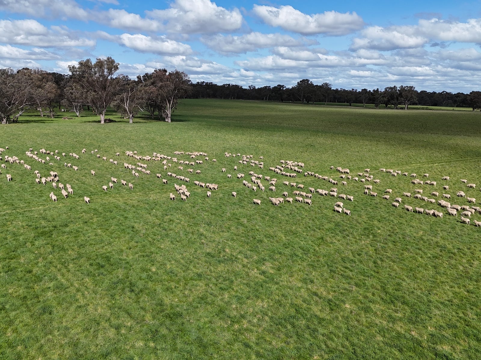 Business For Sale: Wallendbeen, NSW 2588