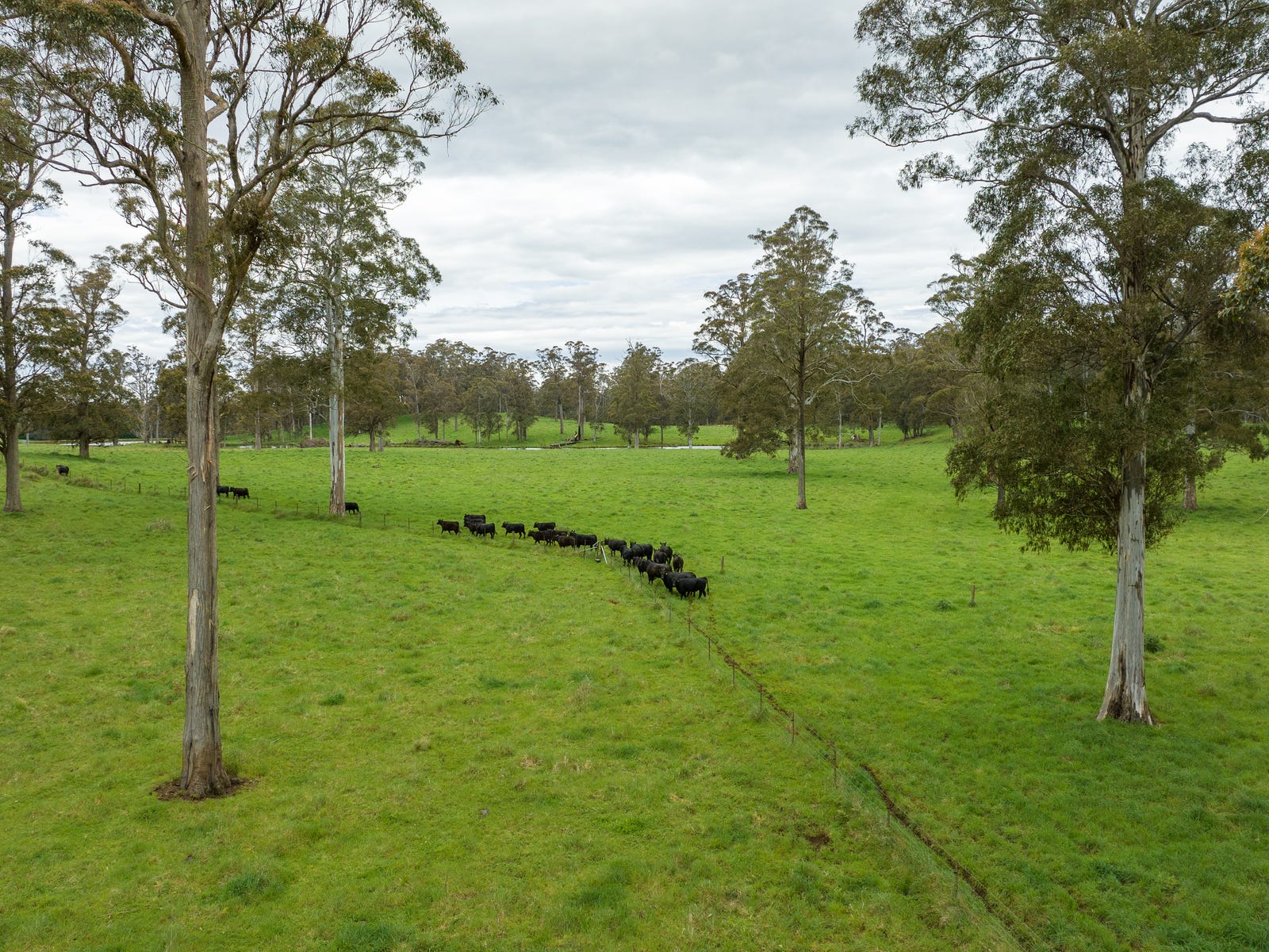 Business For Sale: Walcha, NSW 2354