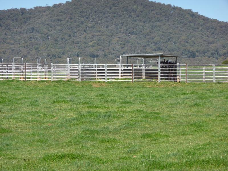Business For Sale: Berringama, Vic 3691