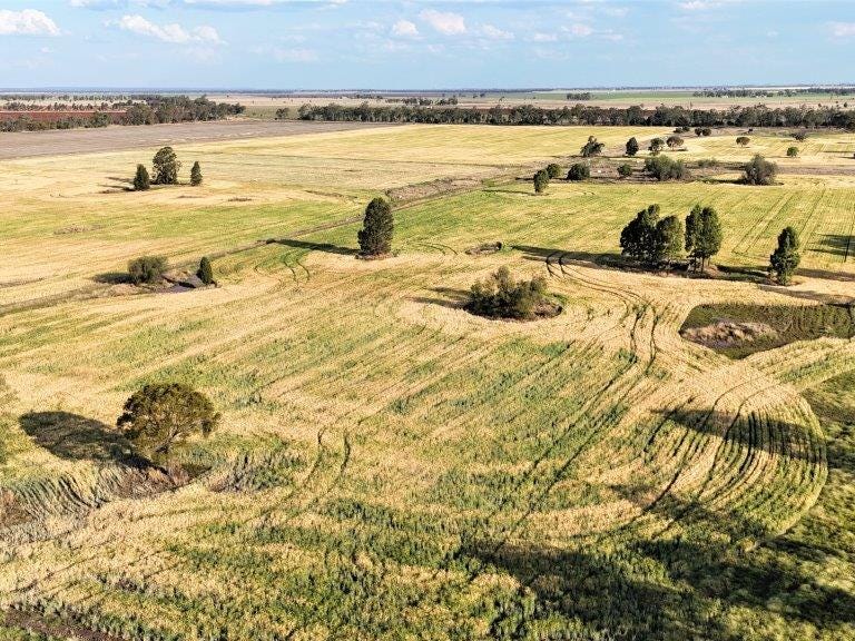 Farm For Sale in Jandowae, Qld 4410 Kingaroy Jandowae Road