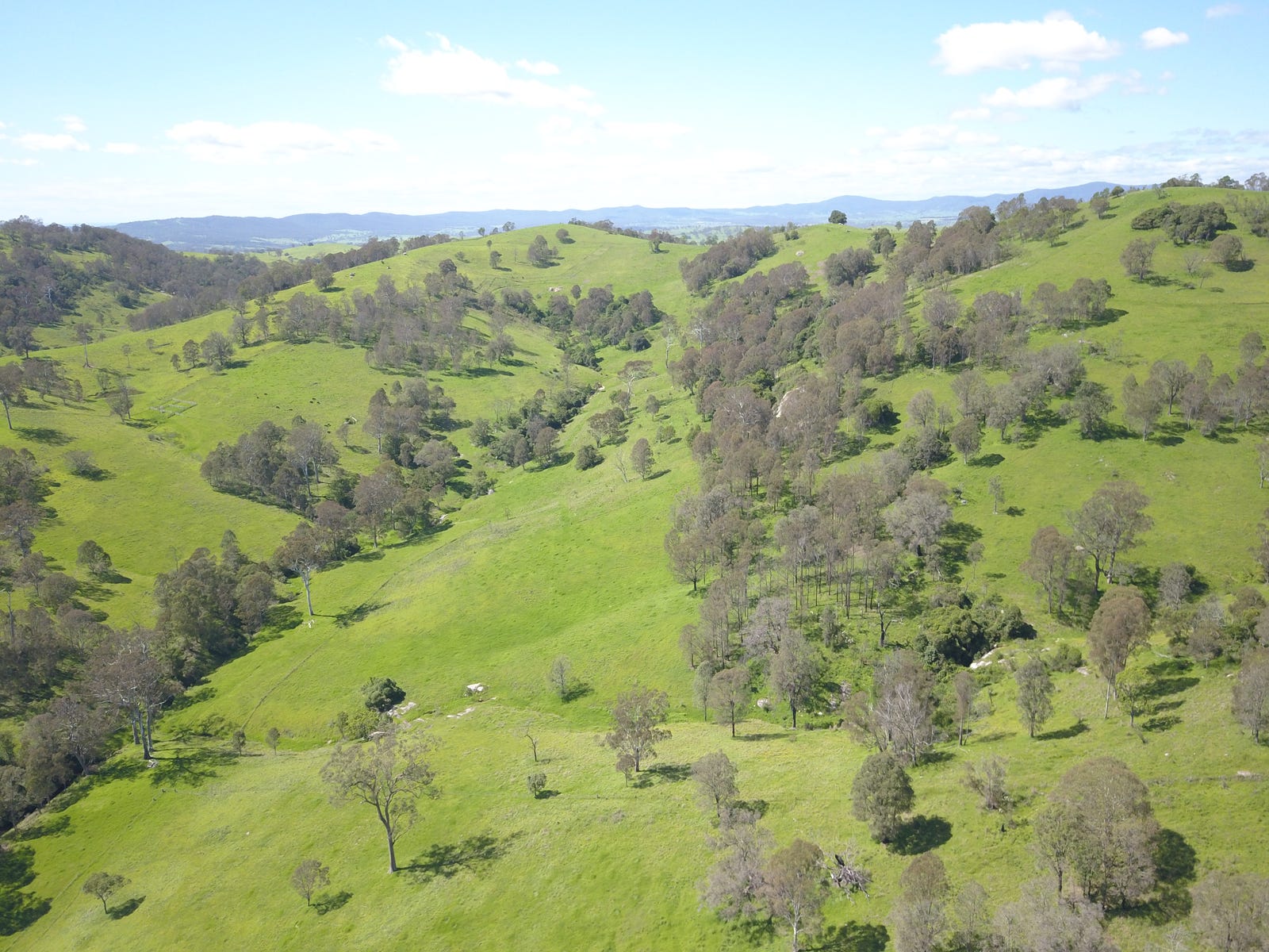 Business For Sale: Numbugga, NSW 2550