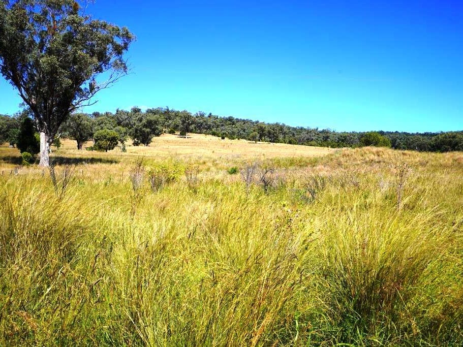 Business For Sale: Warialda, NSW 2402