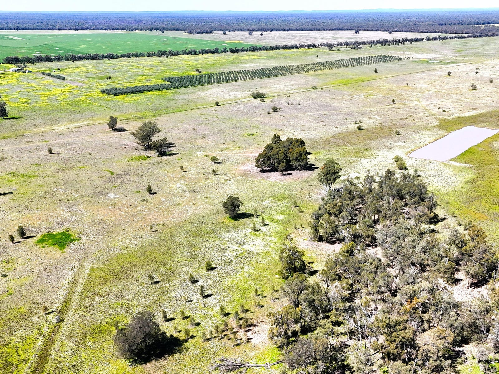 Business For Sale: Bohena Creek, NSW 2390