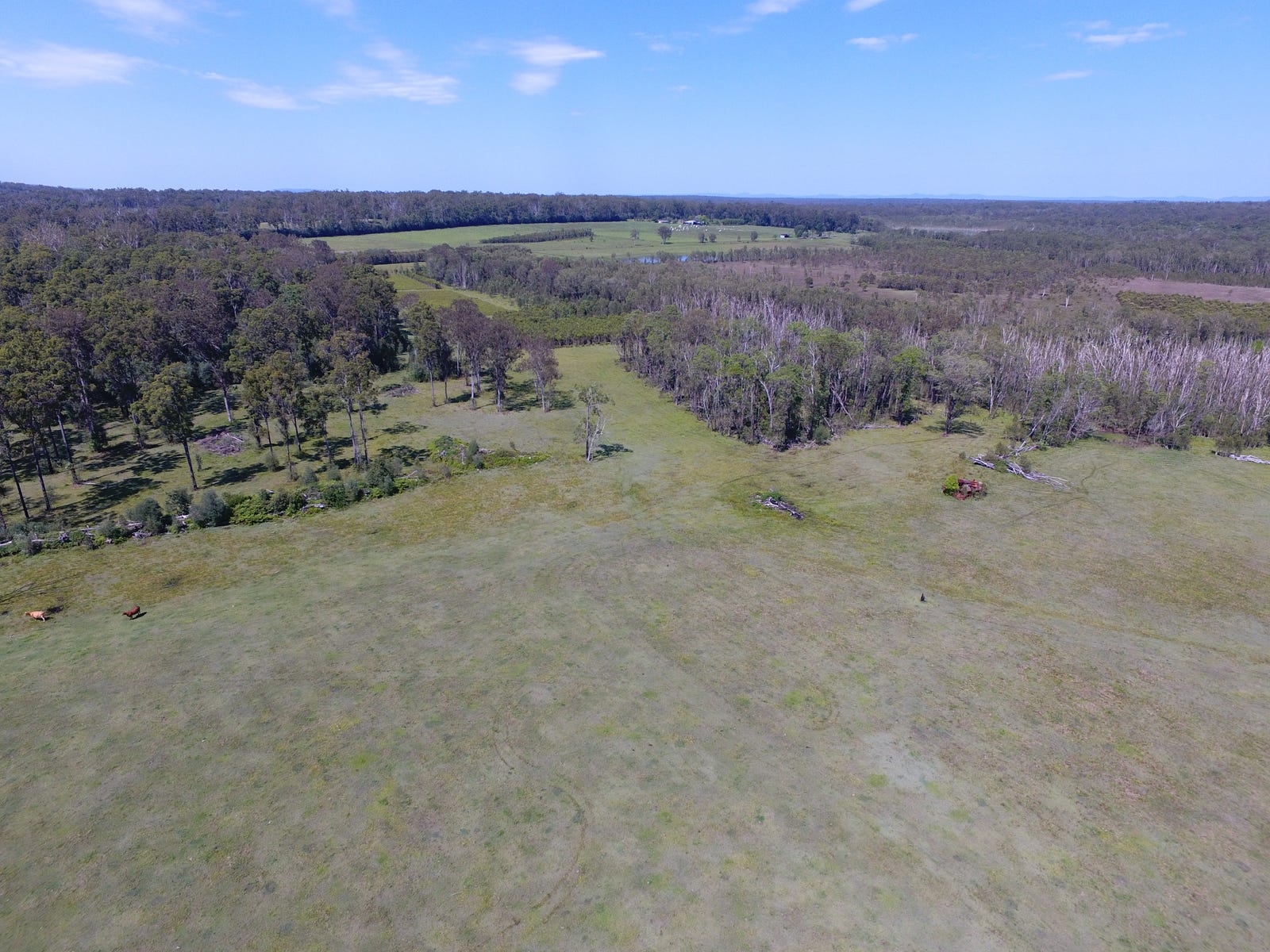 Business For Sale: Bora Ridge, NSW 2471