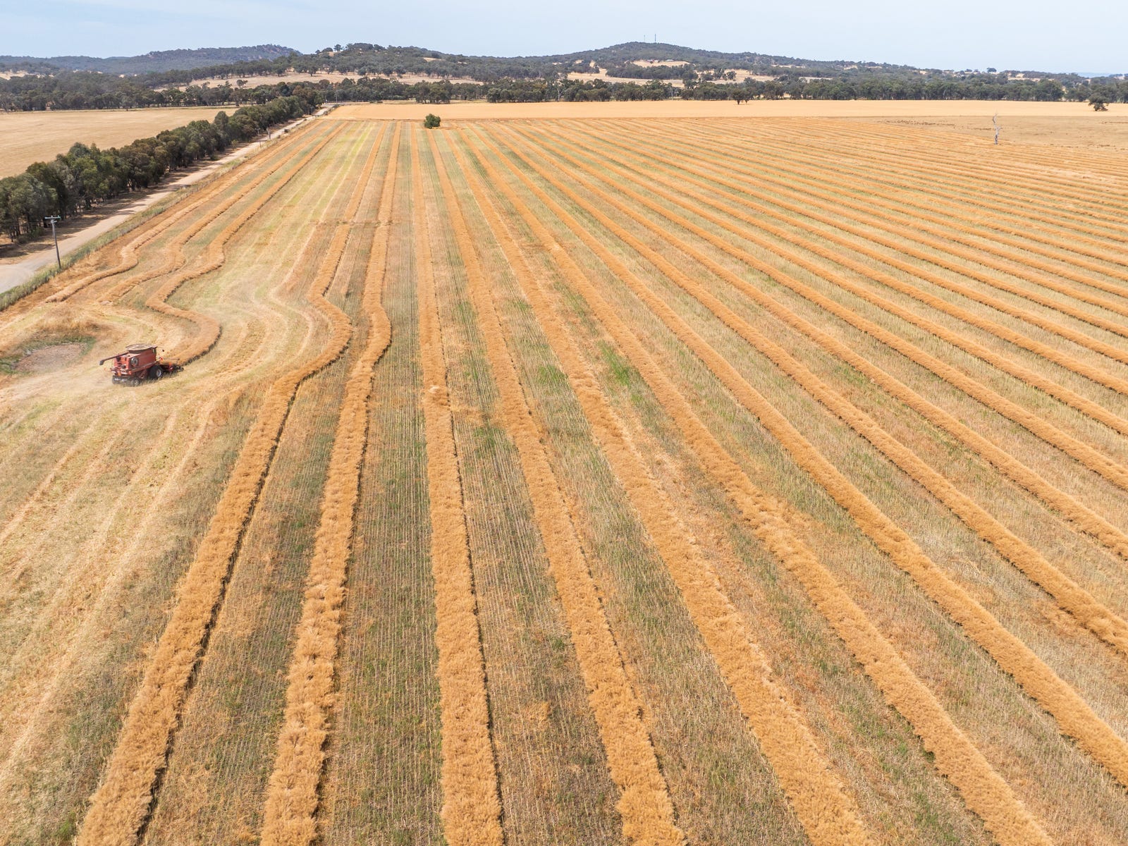 Business For Sale: Lilliput, Vic 3682