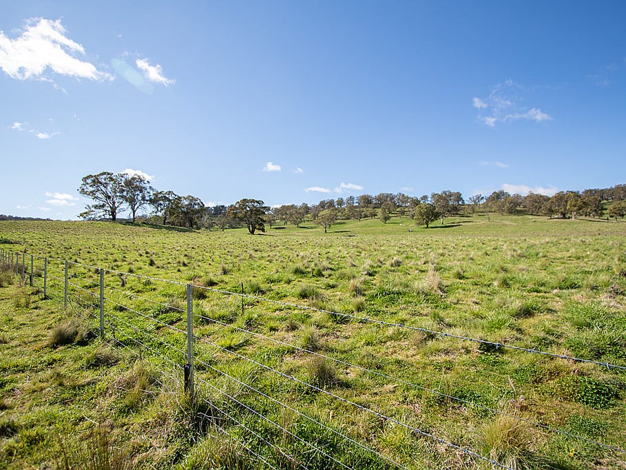 Business For Sale: Ben Lomond, NSW 2365