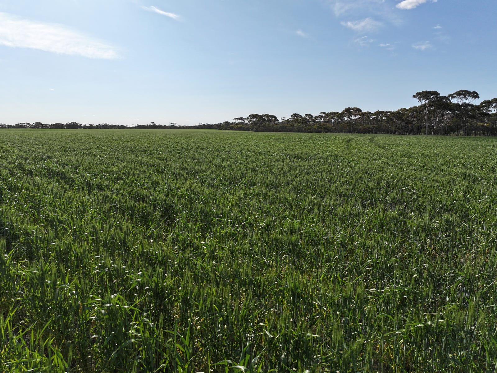 Business For Sale: Hyden, WA 6359