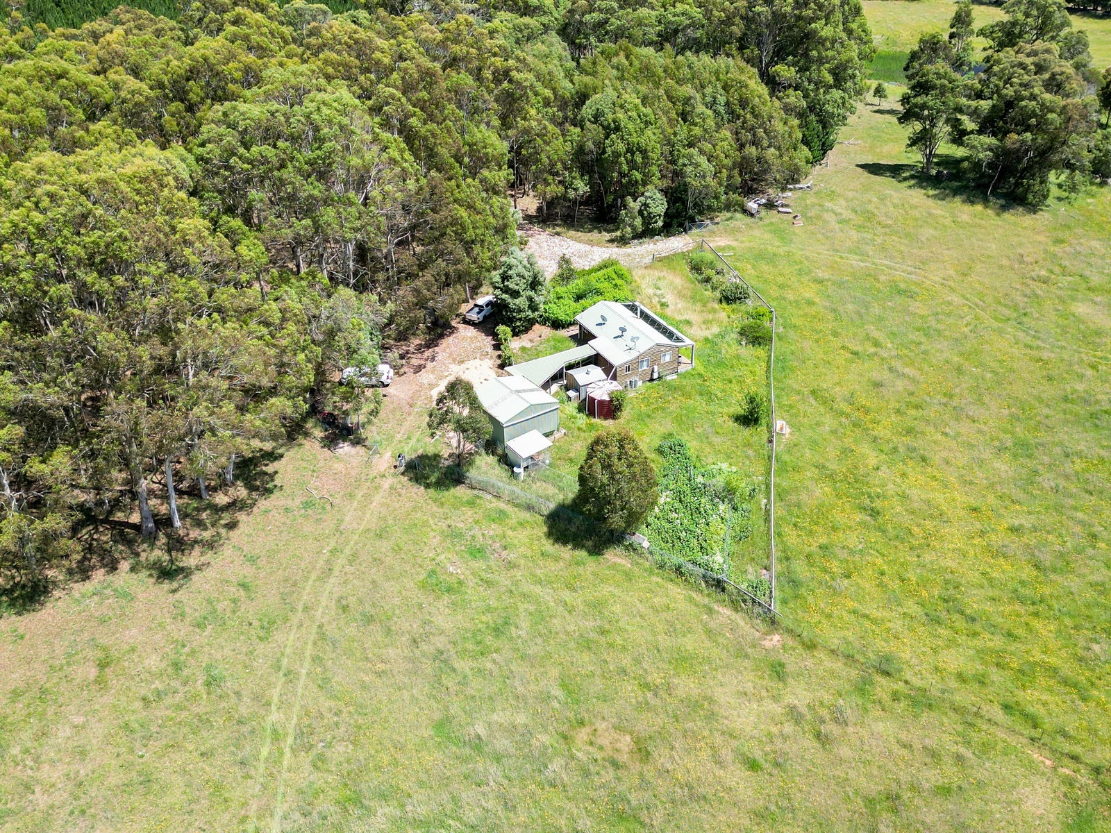 Business For Sale: Chatham Valley, NSW 2787