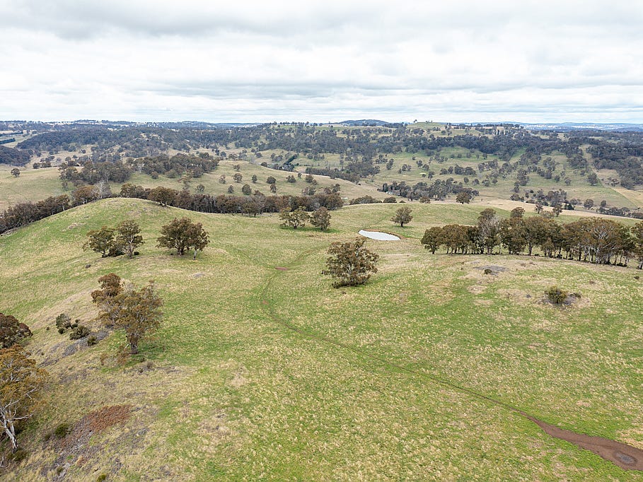 Business For Sale: Ben Lomond, NSW 2365