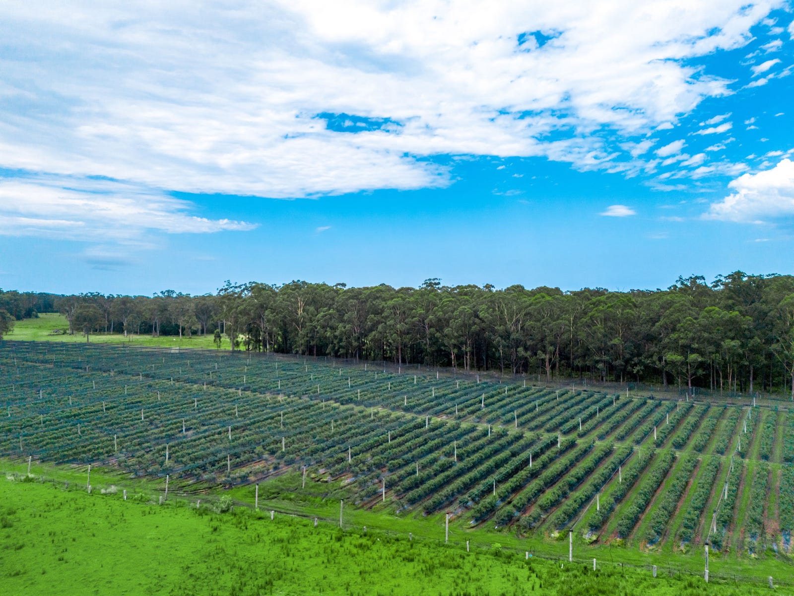 Business For Sale: Upper Corindi, NSW 2456
