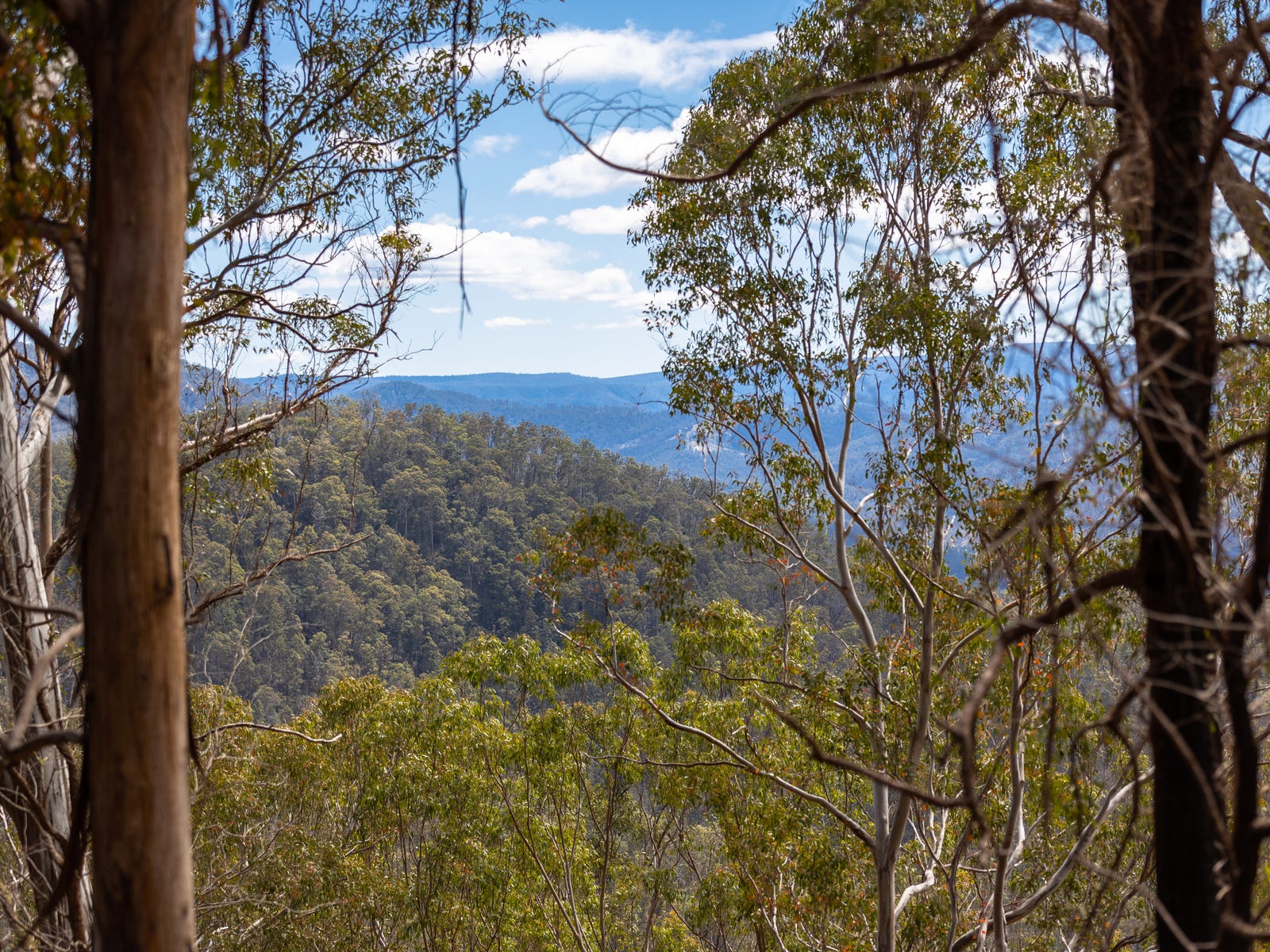 Business For Sale: Cells River, NSW 2424