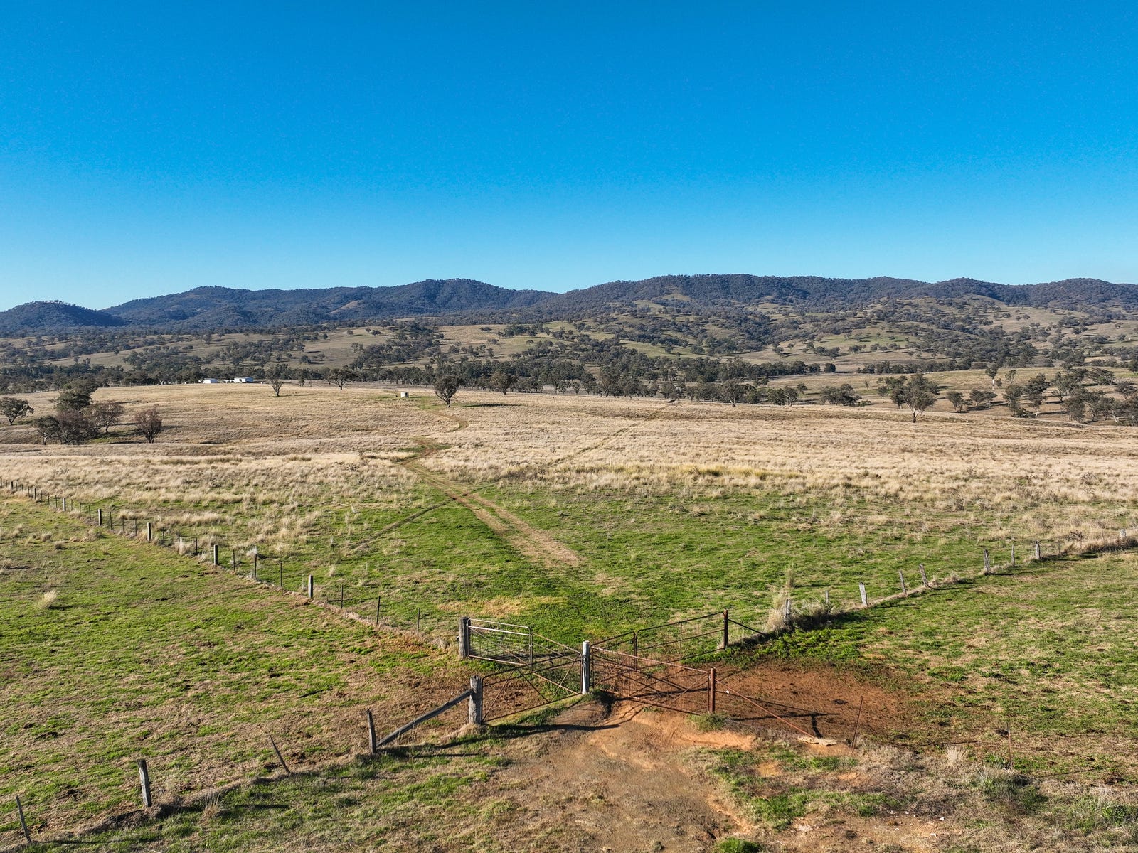 Farm For Sale in Tamworth, NSW 2340 Tarwarri Lindsay's Gap Road