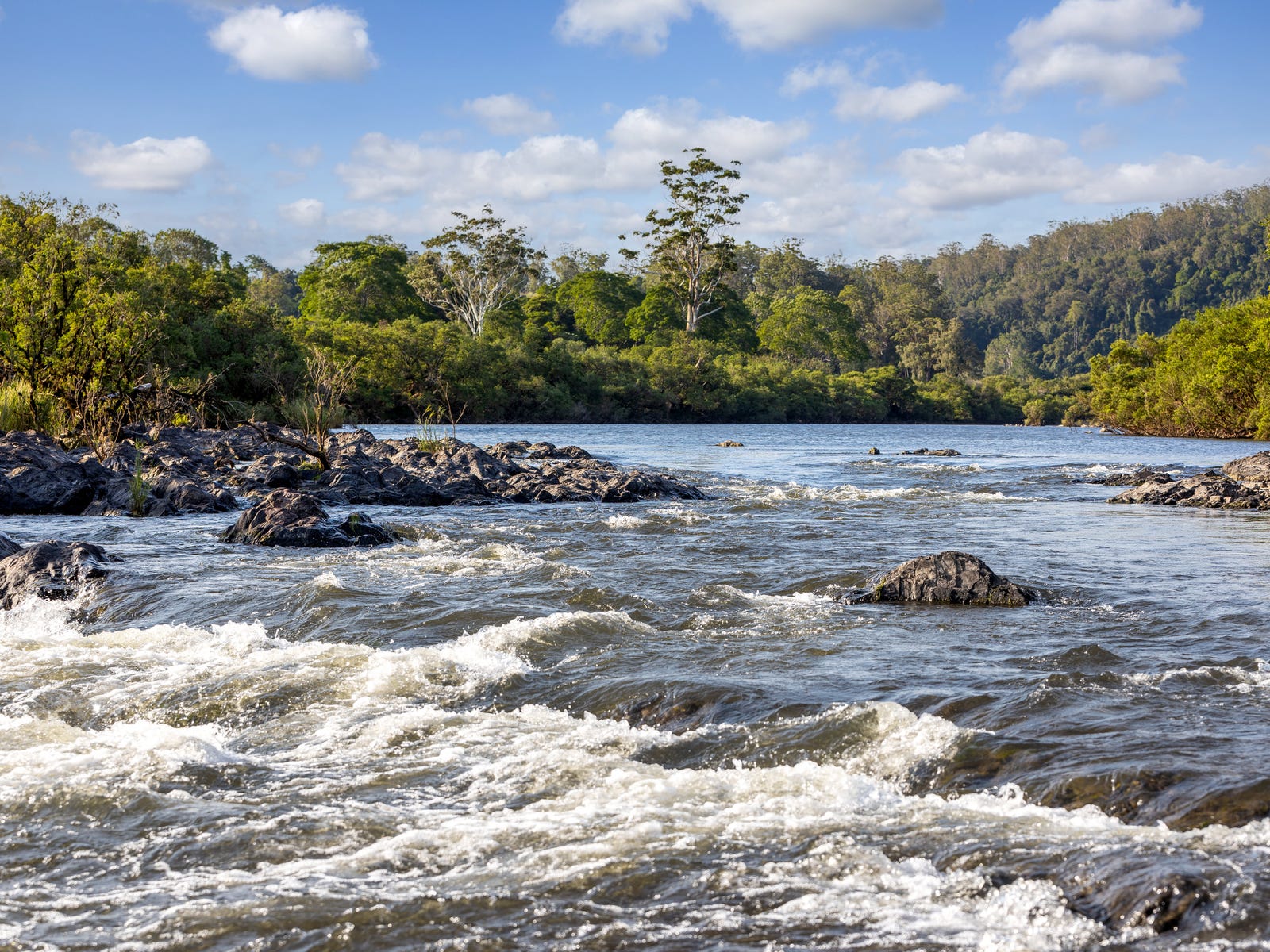 Business For Sale: Mount George, NSW 2424