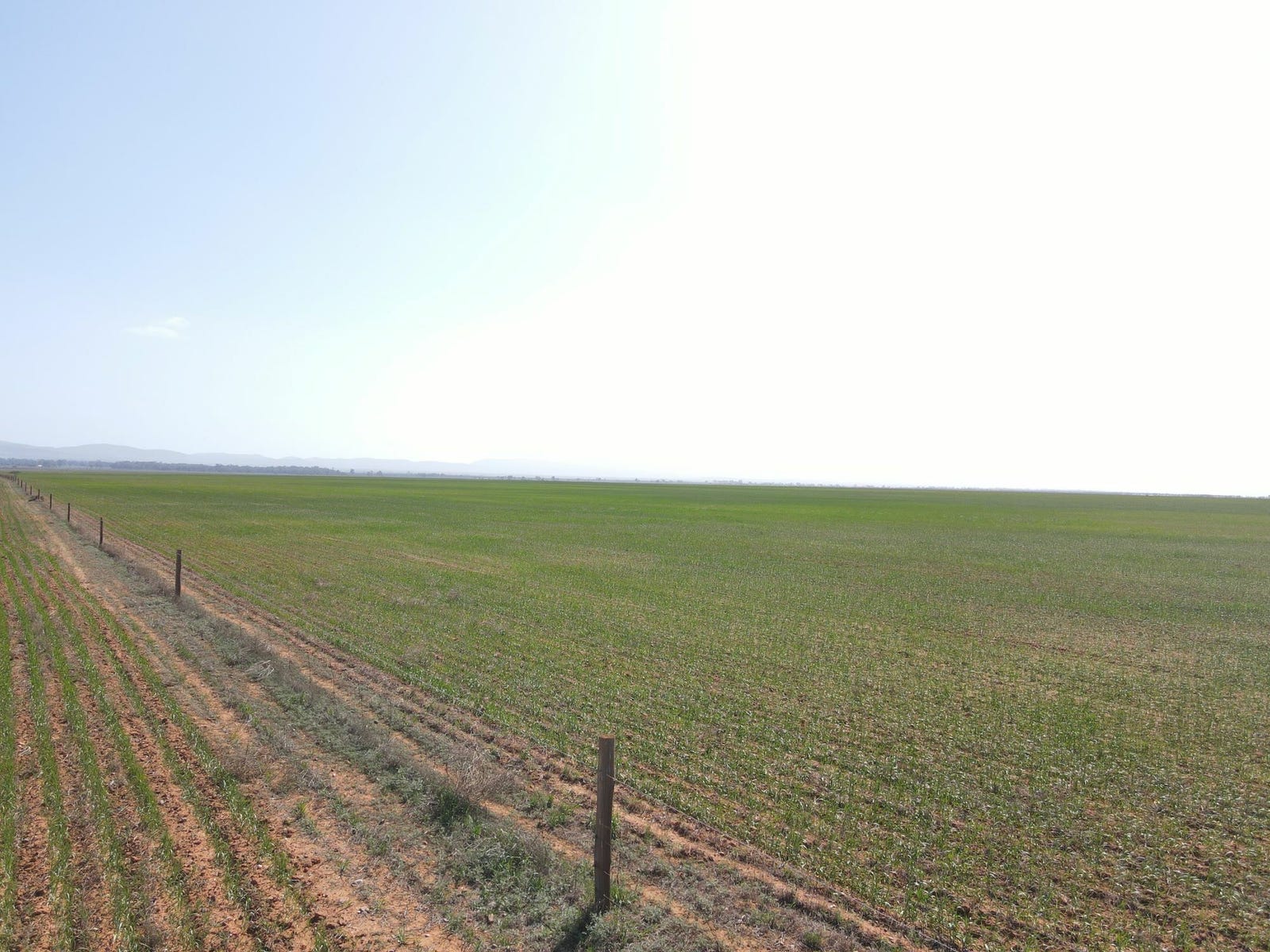Business For Sale: Willowie, SA 5431