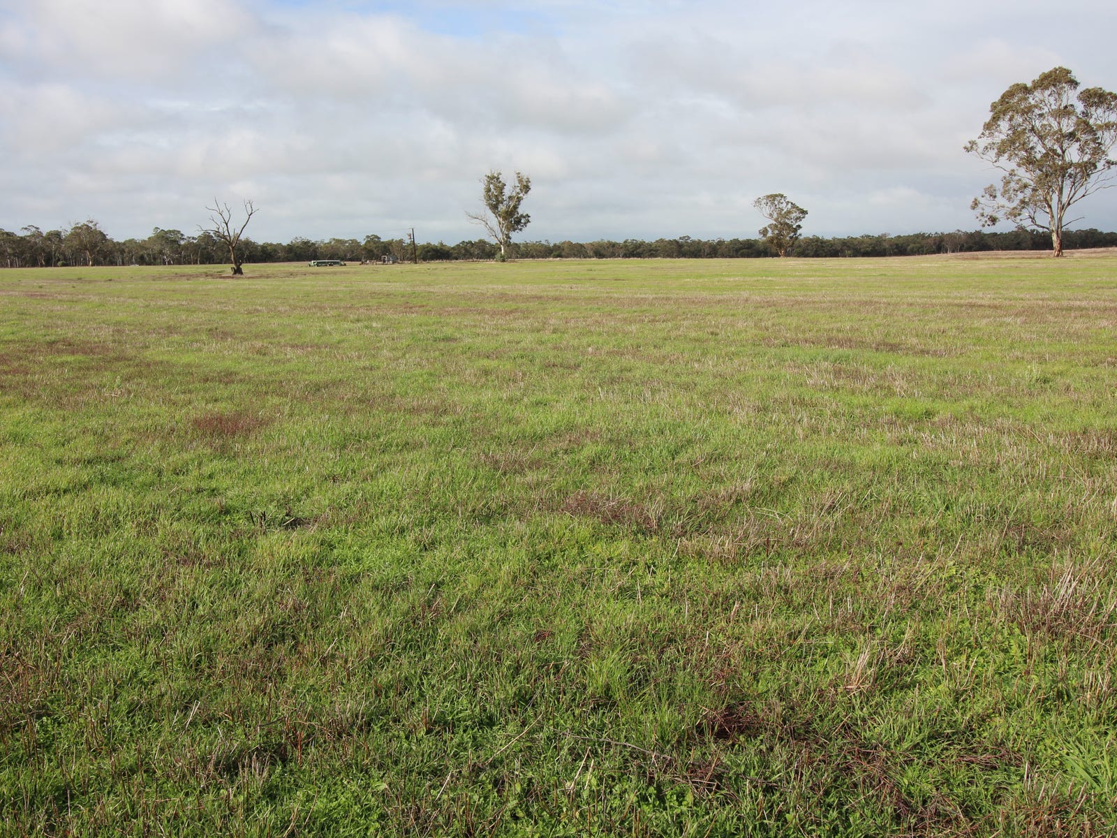 Business For Sale: Binnum, SA 5262