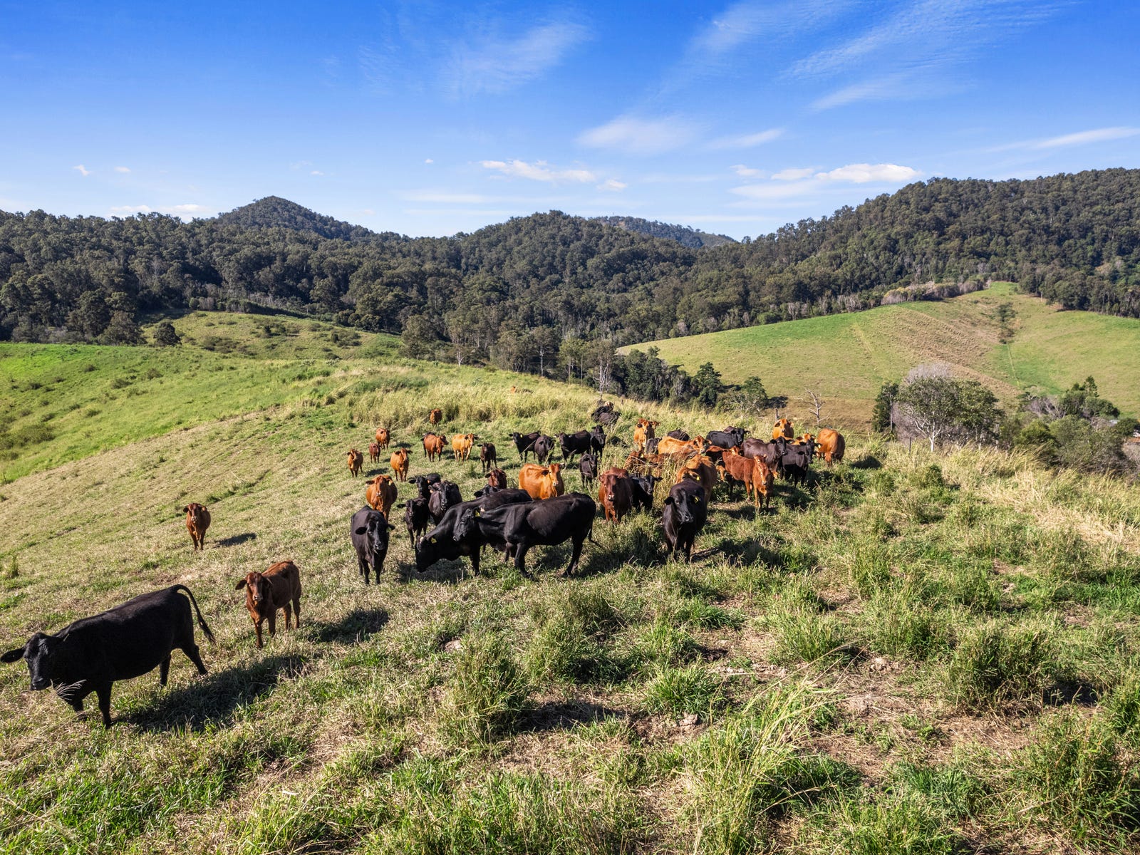 Business For Sale: Goomboorian, Qld 4570