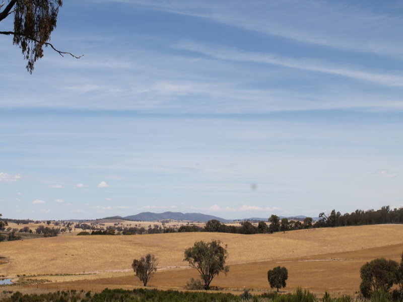 Farm For Sale in Cootamundra, NSW 2590 'rest Downs'